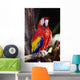 Closeup Of Colourful Red Parrot Standing On Tree Limb Wall Mural