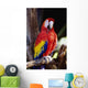 Closeup Of Colourful Red Parrot Standing On Tree Limb Wall Mural