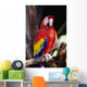 Closeup Of Colourful Red Parrot Standing On Tree Limb Wall Mural