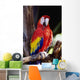 Closeup Of Colourful Red Parrot Standing On Tree Limb Wall Mural