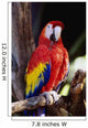 Closeup Of Colourful Red Parrot Standing On Tree Limb Wall Mural