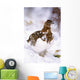 USA, Alaska, Willow Ptarmigan in snow Wall Mural