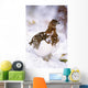 USA, Alaska, Willow Ptarmigan in snow Wall Mural