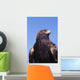 Golden Eagle Against Blue Sky Wall Mural