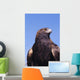 Golden Eagle Against Blue Sky Wall Mural