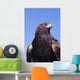 Golden Eagle Against Blue Sky Wall Mural