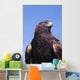 Golden Eagle Against Blue Sky Wall Mural
