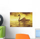 View of single white African Swan in water Wall Mural