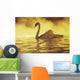 View of single white African Swan in water Wall Mural