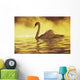 View of single white African Swan in water Wall Mural