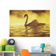 View of single white African Swan in water Wall Mural