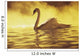 View of single white African Swan in water Wall Mural