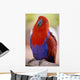 Closeup Of A Colorful Macaw, Red And Blue Feathers Wall Mural