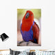 Closeup Of A Colorful Macaw, Red And Blue Feathers Wall Mural