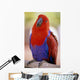 Closeup Of A Colorful Macaw, Red And Blue Feathers Wall Mural