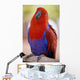 Closeup Of A Colorful Macaw, Red And Blue Feathers Wall Mural