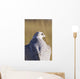 Close up view of back of Gyrfalcon in white color phase Wall Mural