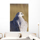 Close up view of back of Gyrfalcon in white color phase Wall Mural