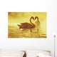 Two African Swans, Heart Shape Wall Mural
