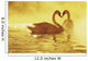 Two African Swans, Heart Shape Wall Mural