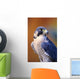 Close up of adult male Peregrine Falcon Wall Mural
