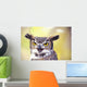 Close up of face of Great Horned Owl Wall Mural