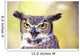 Close up of face of Great Horned Owl Wall Mural