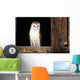 View Of A White Faced Barn Owl Sitting In Window Of Barn Wall Mural