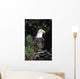 Closeup Of A Bald Eagle In Tree Wall Mural