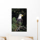 Closeup Of A Bald Eagle In Tree Wall Mural