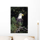 Closeup Of A Bald Eagle In Tree Wall Mural