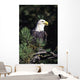 Closeup Of A Bald Eagle In Tree Wall Mural