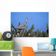 Closeup Of A Great Blue Heron On A Nest In Cactus Wall Mural