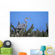 Closeup Of A Great Blue Heron On A Nest In Cactus Wall Mural