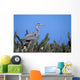 Closeup Of A Great Blue Heron On A Nest In Cactus Wall Mural