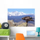 Colorado, Roosevelt National Forest, Golden Eagle Wall Mural