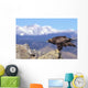 Colorado, Roosevelt National Forest, Golden Eagle Wall Mural