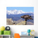 Colorado, Roosevelt National Forest, Golden Eagle Wall Mural