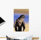 Colorado, Northern Goshawk Wall Mural