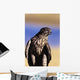 Colorado, Northern Goshawk Wall Mural