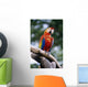 Singapore, Jurang Bird Park, Red Macaw On Branch Wall Mural
