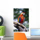 Singapore, Jurang Bird Park, Red Macaw On Branch Wall Mural