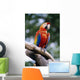 Singapore, Jurang Bird Park, Red Macaw On Branch Wall Mural