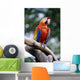 Singapore, Jurang Bird Park, Red Macaw On Branch Wall Mural