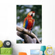 Singapore, Jurang Bird Park, Red Macaw On Branch Wall Mural