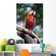 Singapore, Jurang Bird Park, Red Macaw On Branch Wall Mural