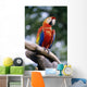 Singapore, Jurang Bird Park, Red Macaw On Branch Wall Mural