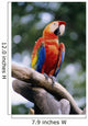 Singapore, Jurang Bird Park, Red Macaw On Branch Wall Mural