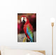 Red Macaw Parrot Closeup Wall Mural