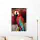 Red Macaw Parrot Closeup Wall Mural